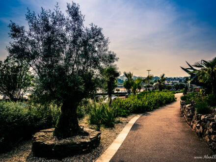 Alan Lloyd Photography Torbay, Portfolio